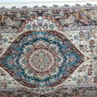 ۶عددپشتی ناسالم بدون شکستگی