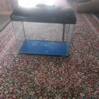 آکواریوم شرکتی با لوازم