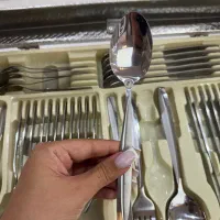قاشق چنگال ۱۱۳ پارچه