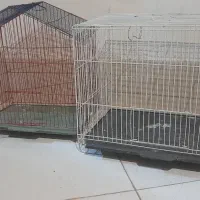 قفس پرنده قناری مرغ عشق