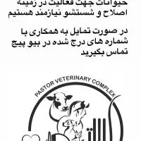 جذب نیرو کار