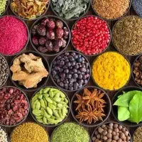 ادویه جات ارگانیک گندم