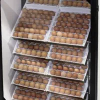 تبدیل تخم نطفه دار به جوجه