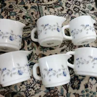 سس خوری و نمکپاش آرکوپال
