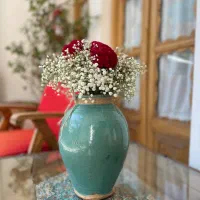 هاست و میزبان