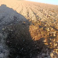 اجاره زمین کشاورزی..آبیاری بارانی