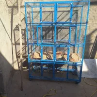 قفس جفت کنی کامل پروفیل