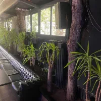 مبلمان چستر کاناپه یک تیکه