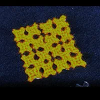 پلیوارچهاردانوک و آینه