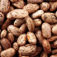 فروش لوبیا دولتی ( ارتشی )