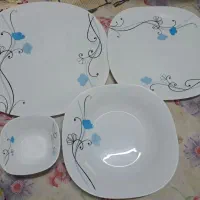 سرویس ارکوپال