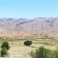 فروش ویژه باغ شهری