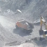 استخدام نیروی اتباع