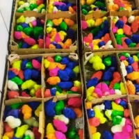 1عرضهpجوجه رنگی(*محلی اردک گردن لختی سلطان کاکلی