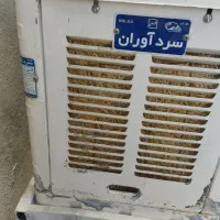 کولرابی