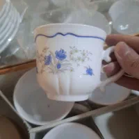 فنجان ارکوپال فرانسه