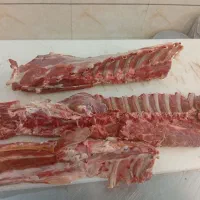 فروش ویژه گوشت گوسفند