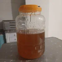 عسل وحشی  درجه یک