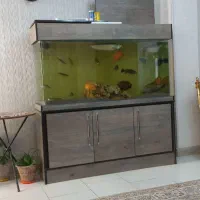 آکواریوم حرفه ای