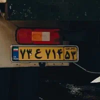 پلاک‌گمشده