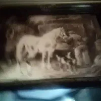 تابلو،قابل شستشووظروف پذیرایی