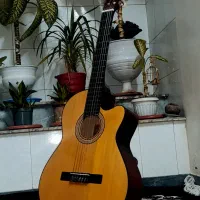 گیتار کلاسیک کاتوی