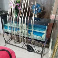 اکواریوم در حد نو