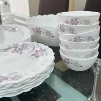 سرویس آرکوپال غذاخوری