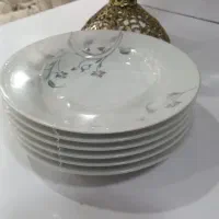 بشقاب وپلوپز