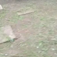 خدمات علف زنی، کود دهی و سمپاشی مزارع و باغات