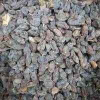 کشمش و مویز و خرما و شیره انگور
