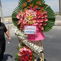 گل تبریکی تاج ختمی