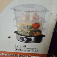 بخار پز
