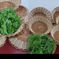 سبد بافی|صنایع دستی و سایر لوازم تزئینی|اهواز, زیتون کارگری|دیوار