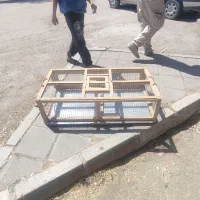قفس نو ،کبوتر کش قیمت  4800 مقطوع