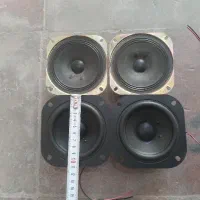 باند تیوترخانگی