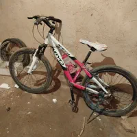 دوچرخه 24