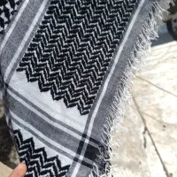 ئاغا بانو (جوانە)