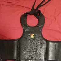هوگو اورجینال WESING(ساندا)