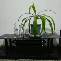زیر تلوزیونی شیشه ای