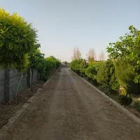 باغ-ویلای-2500متری-در-روستای-علی-آباد-ملاعلی