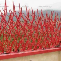 حفاظ روی دیوار شاخگوزنی بوته خاری میلگردی نیزه ای