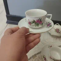 فنجون نعلبکی گل سرخی