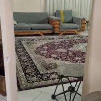 دو عدد ایینه