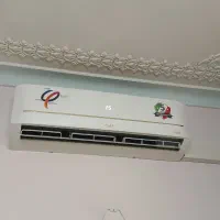 اسپیلت ایوولی ۲۴ هزار