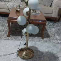 کنار سالنی ملکولی