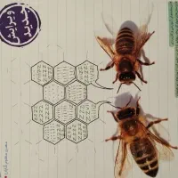 خیلی سبز نهم