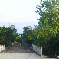 باغچه-قابل-ساخت-اول-جاده-املش