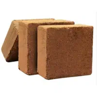 کوکوپیت سریلانکایی بافت فاین مناسب نشا