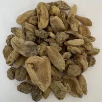 سعلب خوشک